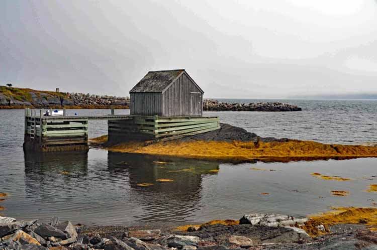 water scene